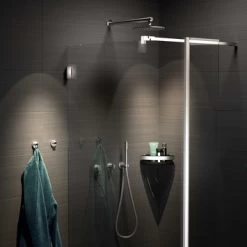 Tiger Douchemand Noon Hoek RVS -Badkamer Verkoop 123 1167