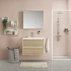 Tiger Douchemand Noon Hoek RVS -Badkamer Verkoop 123 1169