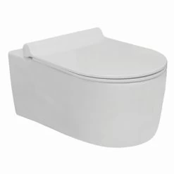 Van Marcke Wandcloset Fleet Met Softclose Wc Bril