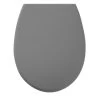 Tiger WC Bril Amadora Grijs Kunststof Met Softclose