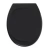 Tiger WC Bril Mason Zwart Kunststof Met Softclose 2 Tiger WC Bril Mason Zwart Kunststof Met Softclose -Badkamer Verkoop 123 4245